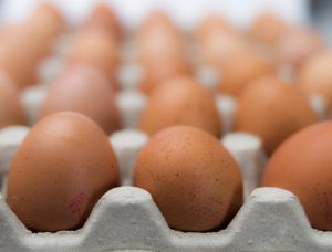 Don't put all your traffic eggs in the SEO basket.